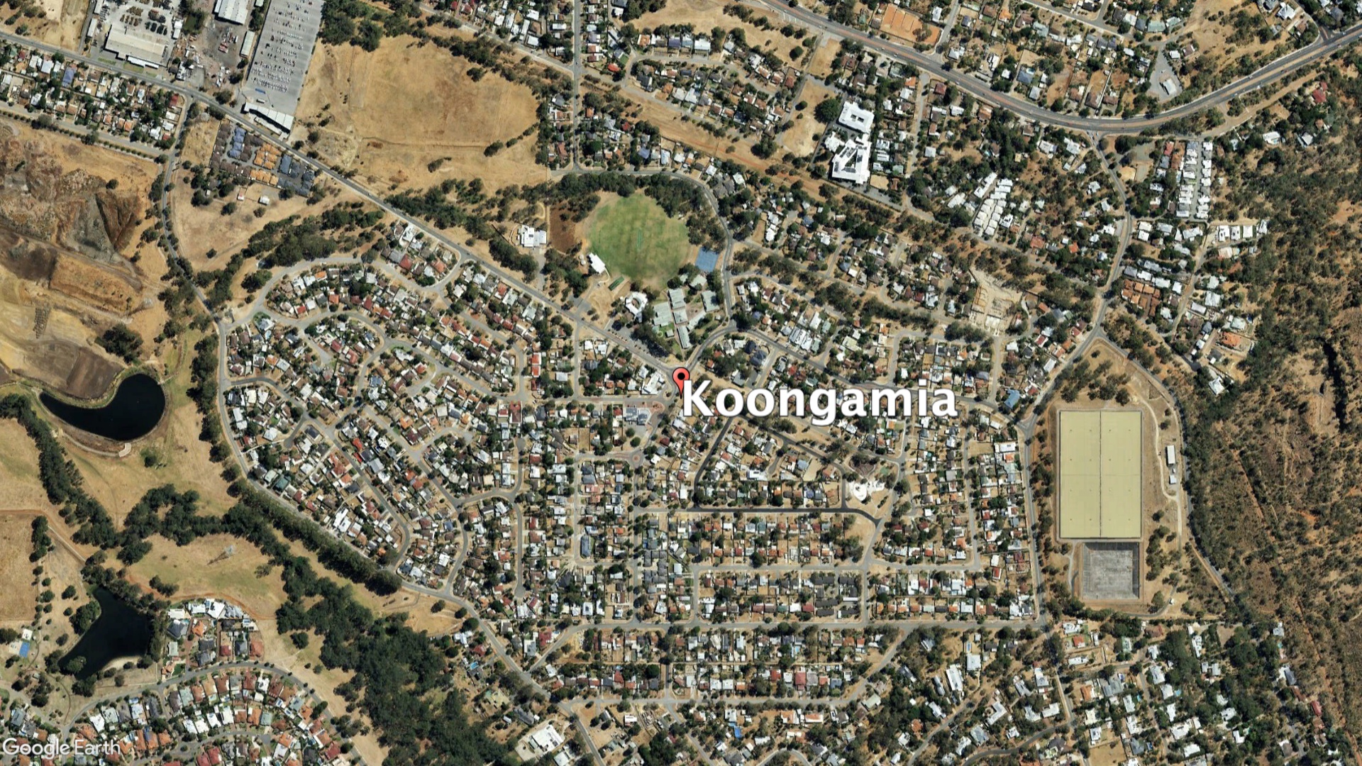 Plumber Koongamia